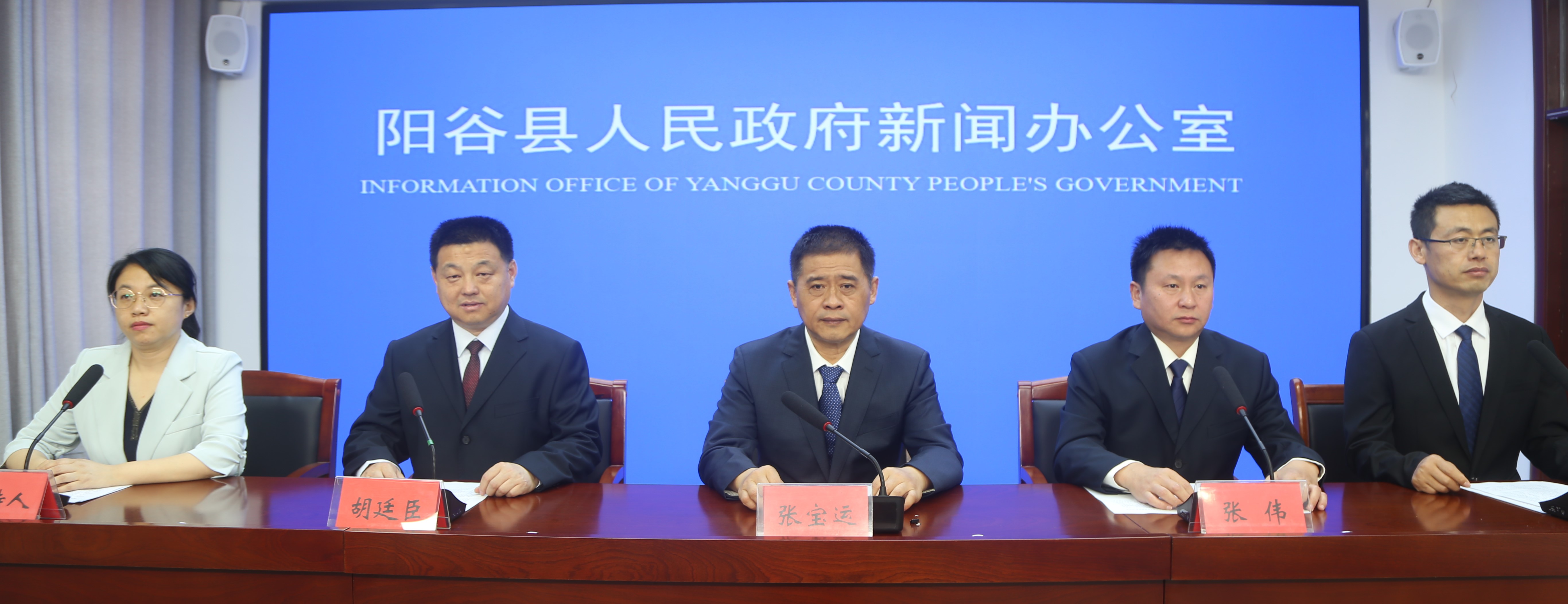 阳谷县网站优化电话 www.yanggu.gov.cn